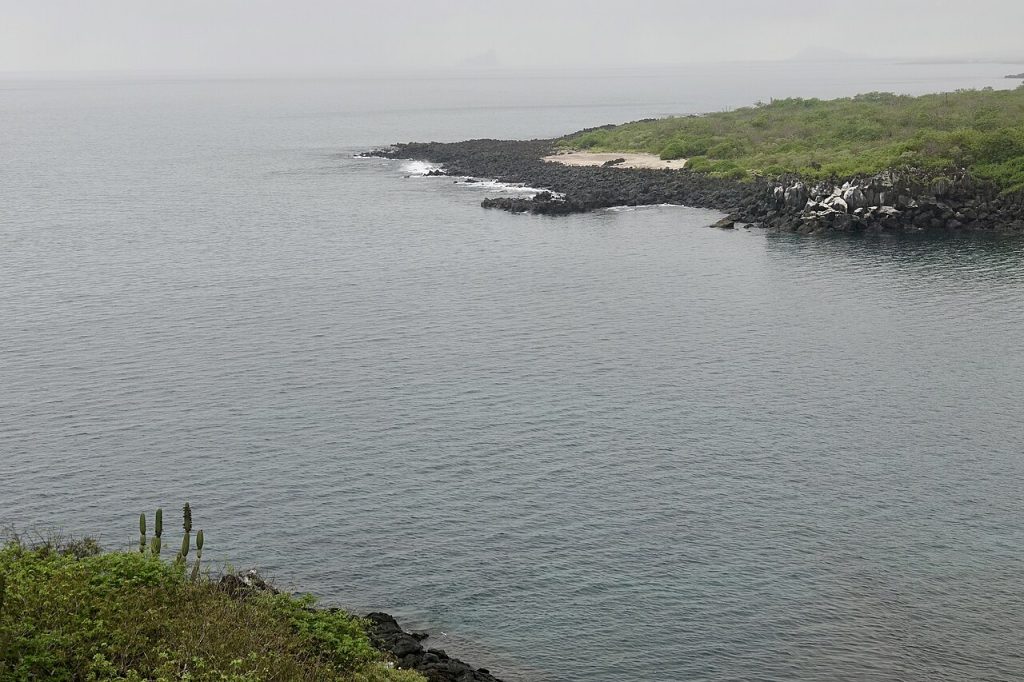 Darwin-øya på Galapagosøyene. Foto: 	Mike's Birds / CC BY-SA 2.0. 