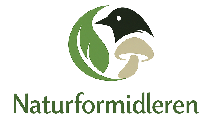 Naturformidleren