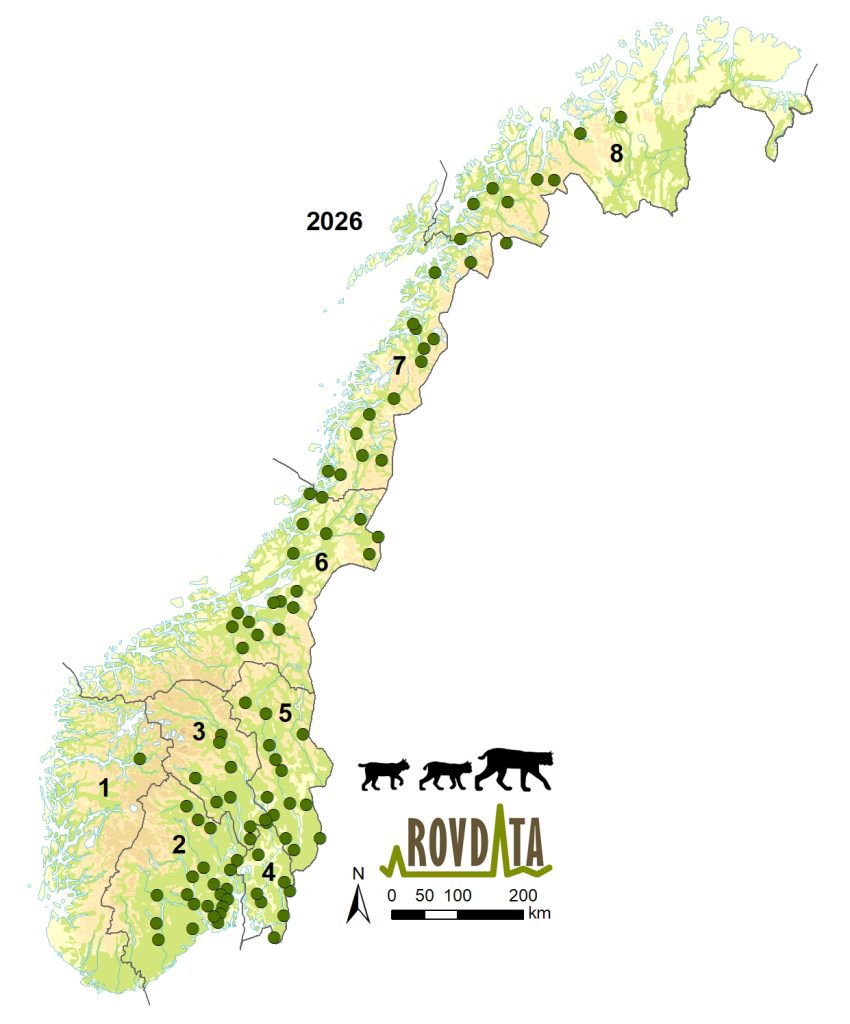 Hver prikk viser en familiegruppe (mor og unger) av gaupe i Norge i 2026. Figur fra Rovdata: https://rovdata.no/Gaupe/Kartogfigurer.aspx.